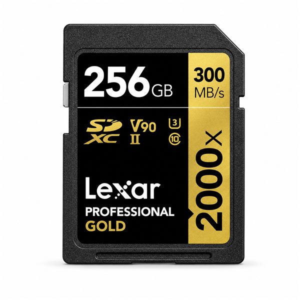 Lexar Professional Gold 256GB V90