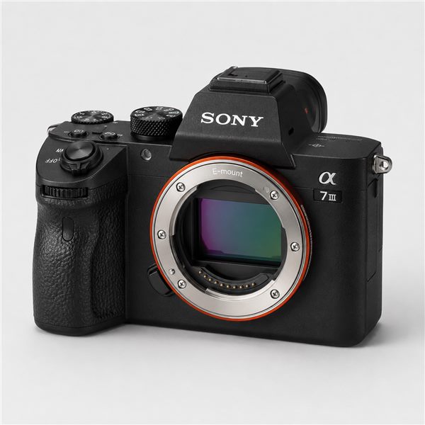 Sony A7 III Body